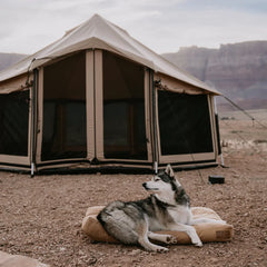 18' Altimus Bell Tent - Green Vista Living
