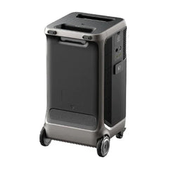 Anker SOLIX F3800 x 2 + Double Power Hub (With a Free Anker SOLIX F3800 Protective Cover Bag) - Green Vista Living