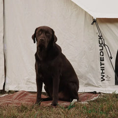 Avalon Bell Tent - Green Vista Living