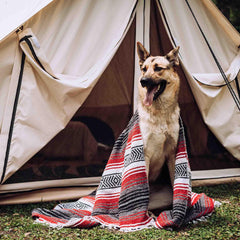 13' Avalon Bell Tent - Green Vista Living