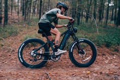 Vitilan T7PRO Full Suspension Mountain E-bike - Green Vista Living