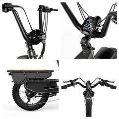 HOVSCO HovCart 20“ Step-Thru Electric Fat Tire Cargo Bike - Green Vista Living