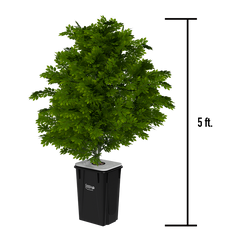 Current Culture H2O RDWC Hydroponic Grow System 2 Row 40" Plant Spacing | UC16XXL13