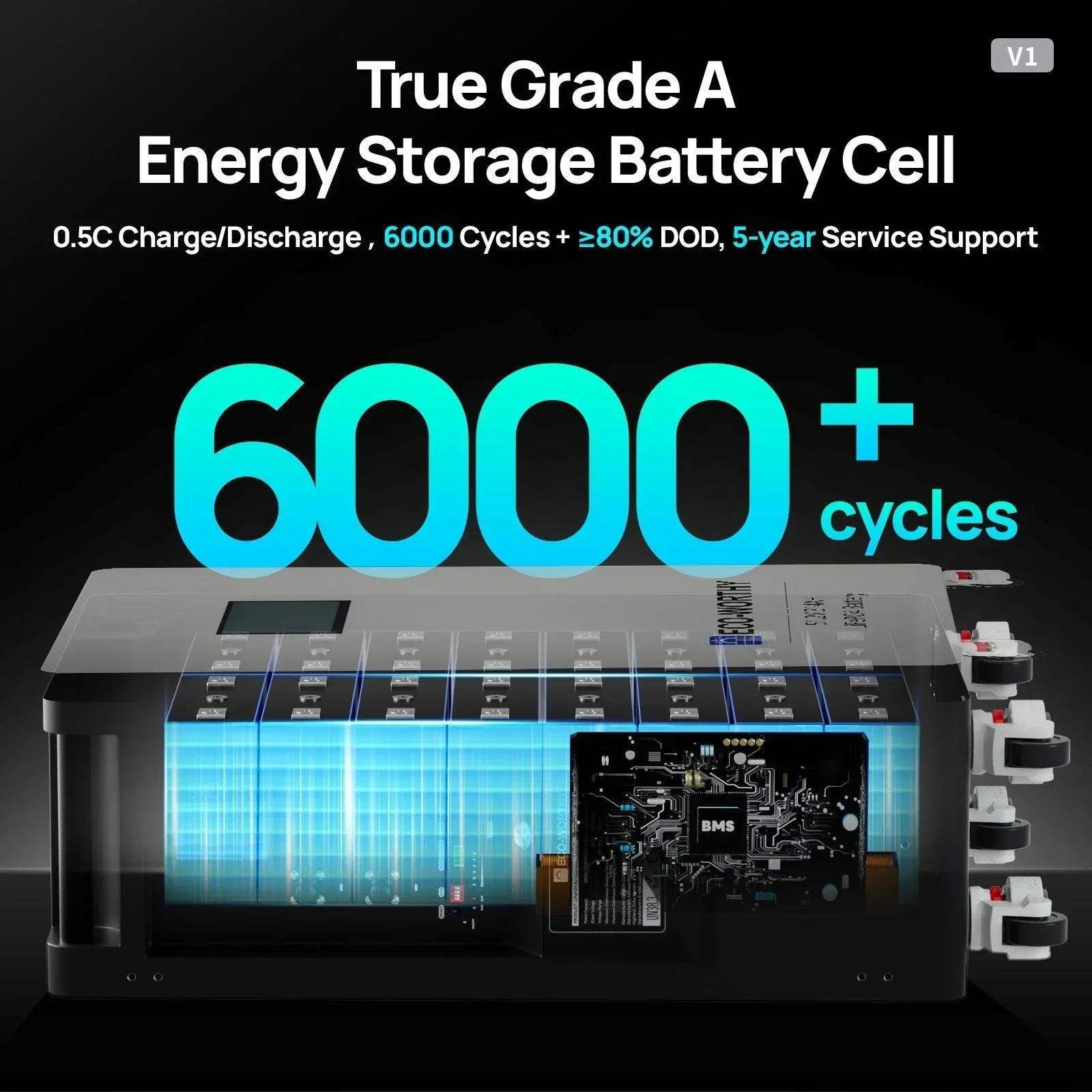 ECO-WORTHY 51.2V 314Ah LiFePO4 Battery | Solar Battery Backup for home - Green Vista Living