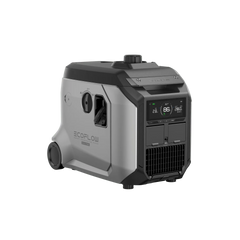 EcoFlow Smart Generator 4000 (Dual Fuel) - Green Vista Living