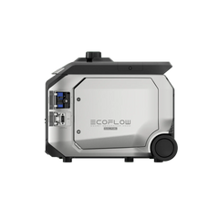 EcoFlow Smart Generator 4000 (Dual Fuel) - Green Vista Living