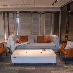 Elementi Sydney Indoor Fire Pit Table - Green Vista Living