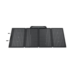 EcoFlow Delta 2 Max + 220W Solar Panel - Green Vista Living