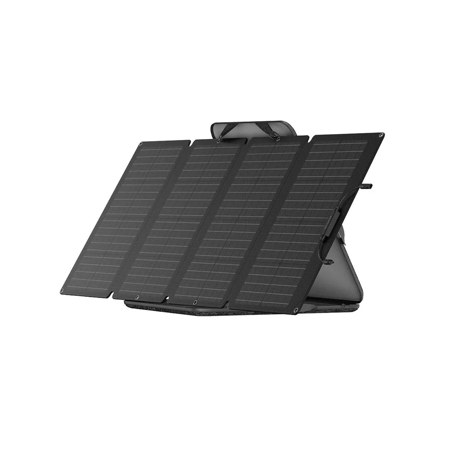 EcoFlow RIVER 2 Max + 1*160W Portable Solar Panel - Green Vista Living