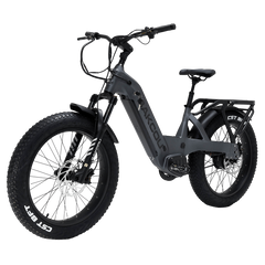Bakcou Flatlander SD Electric Bike