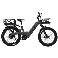Bakcou Flatlander SD Electric Bike