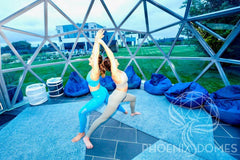 Phoenix Domes Glass Dome - Glass Panel Geodesic Dome - Green Vista Living