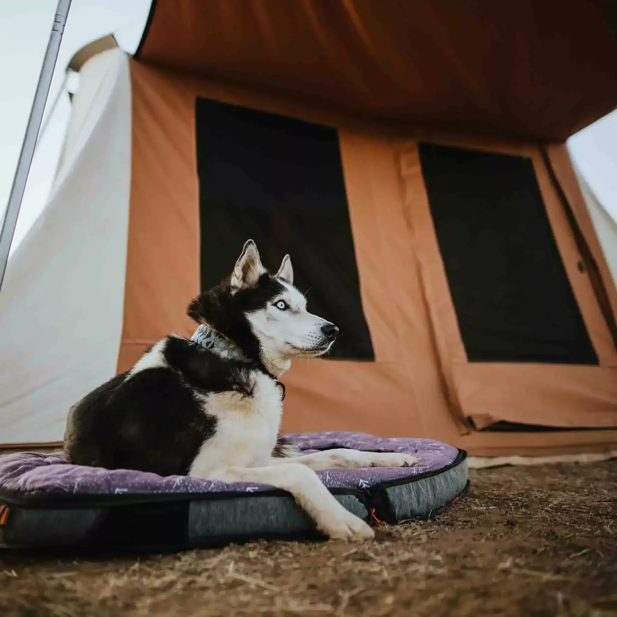 10'x10' Prota Canvas Tent - Green Vista Living