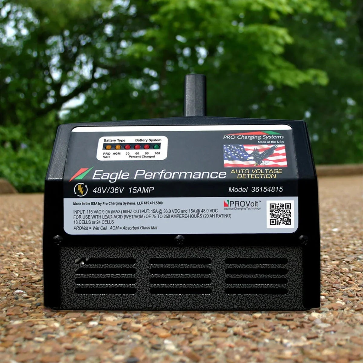 Eagle Performance battery charger 48V/36V 15AMP with auto voltage detection outdoors