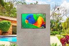 8K Series - LG by MirageVision Partial Sun Outdoor TV - Green Vista Living