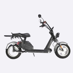 LinksEride CP5.1 2000W 60V 20Ah DUAL BATTERY 2 SEATER Electric Motorcycle Scooter - Green Vista Living