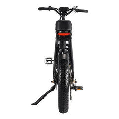 LinksEride HM-1 750W 48V 20" Aluminum Fat Tire Electric Scooter Moped Bike - Green Vista Living