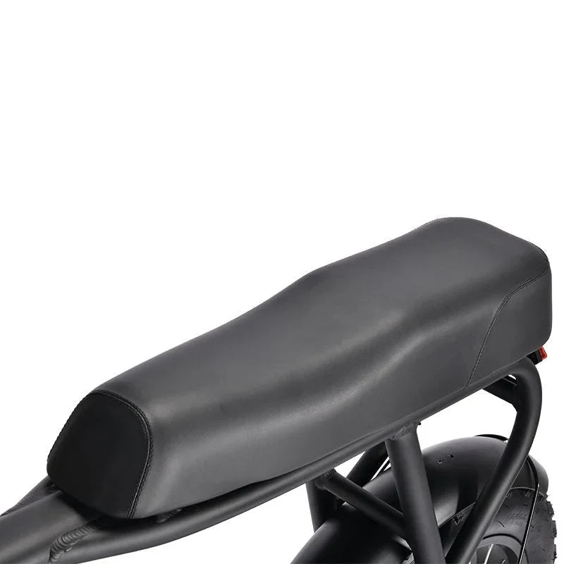 LinksEride HM-1 750W 48V 20" Aluminum Fat Tire Electric Scooter Moped Bike - Green Vista Living