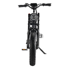 LinksEride HM-1 750W 48V 20" Aluminum Fat Tire Electric Scooter Moped Bike - Green Vista Living
