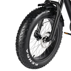 LinksEride HM-1 750W 48V 20" Aluminum Fat Tire Electric Scooter Moped Bike - Green Vista Living