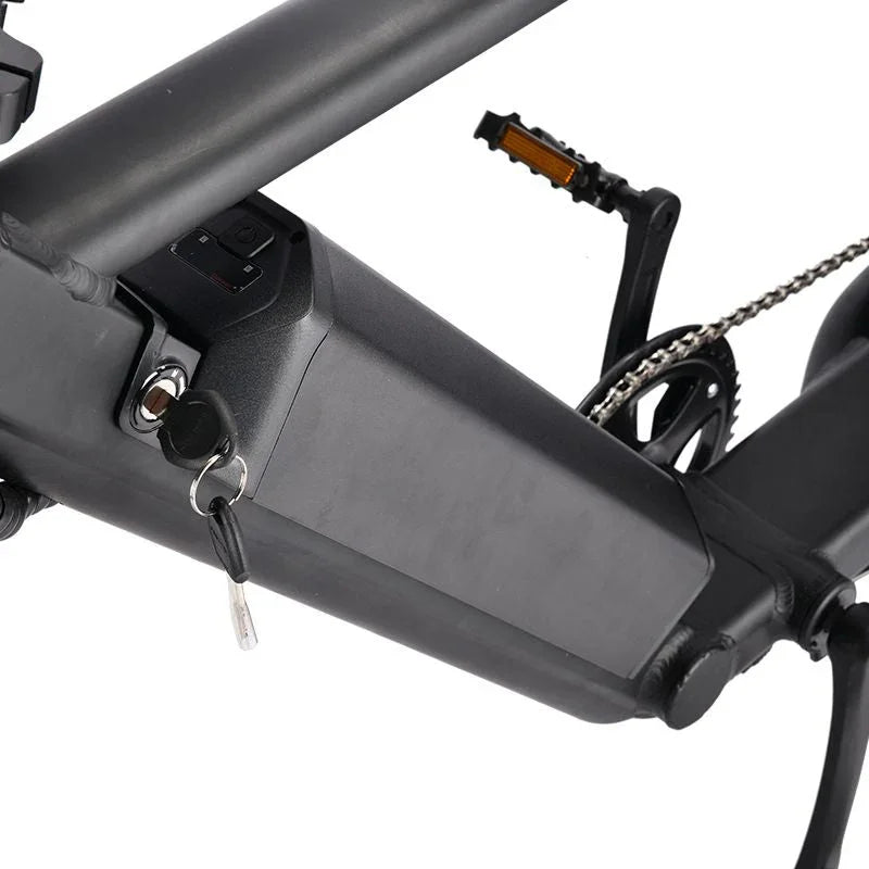 LinksEride HM-1 750W 48V 20" Aluminum Fat Tire Electric Scooter Moped Bike - Green Vista Living