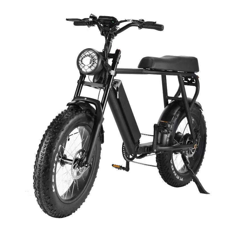 LinksEride HM-1 750W 48V 20" Aluminum Fat Tire Electric Scooter Moped Bike - Green Vista Living