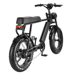 LinksEride HM-1 750W 48V 20" Aluminum Fat Tire Electric Scooter Moped Bike - Green Vista Living