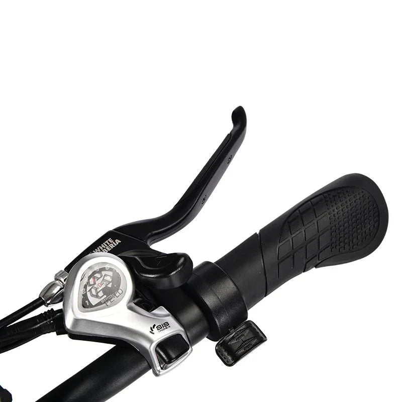 LinksEride HM-1 750W 48V 20" Aluminum Fat Tire Electric Scooter Moped Bike - Green Vista Living