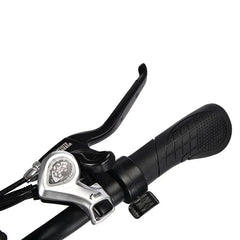 LinksEride HM-1 750W 48V 20" Aluminum Fat Tire Electric Scooter Moped Bike - Green Vista Living