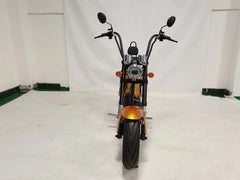 LinksEride M1 Citycoco 2 SEATER 2000W 60V 30Ah Fat Tire Lithium Electric Scooter - Green Vista Living