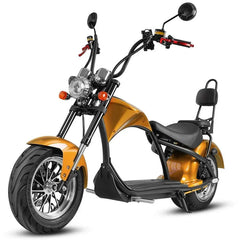 LinksEride M1 Citycoco 2 SEATER 2000W 60V 30Ah Fat Tire Lithium Electric Scooter - Green Vista Living
