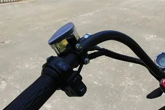 LinksEride M1P Citycoco 2000W 60V 30Ah Full Suspension Fat Tire Lithium Electric Scooter - Green Vista Living