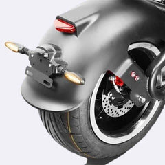 LinksEride M1P Citycoco 2000W 60V 30Ah Full Suspension Fat Tire Lithium Electric Scooter - Green Vista Living