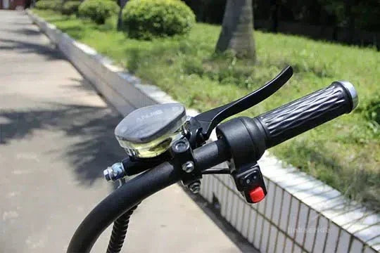 LinksEride M1P Citycoco 2000W 60V 30Ah Full Suspension Fat Tire Lithium Electric Scooter - Green Vista Living