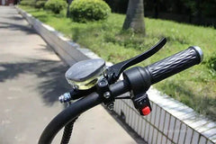 LinksEride M1P Citycoco 2000W 60V 30Ah Full Suspension Fat Tire Lithium Electric Scooter - Green Vista Living