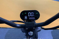 LinksEride M2 Big Wheel 3000W 60V 40Ah Fat Tire Lithium Electric Scooter - Green Vista Living