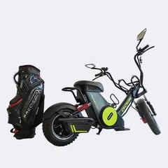 LinksEride M6G 2000W 60V Single Rider Electric Golf Cart Scooter Moped - Green Vista Living