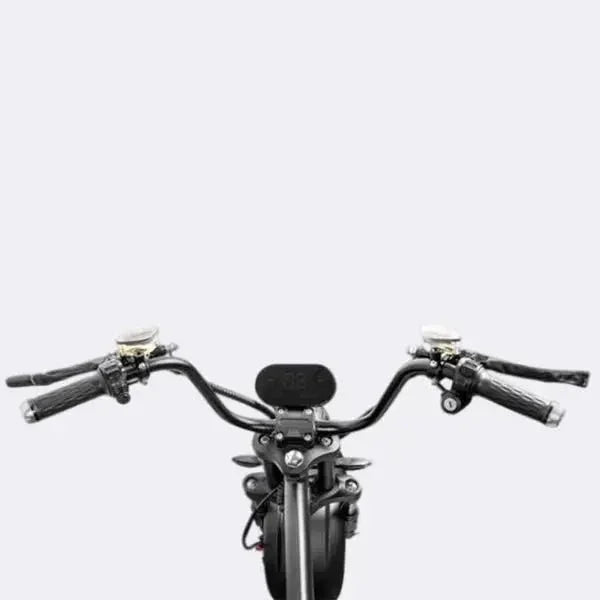 LinksEride M8 Citycoco Chopper 2000W 60V 30Ah Full Suspension Fat Tire Electric Scooter - Green Vista Living