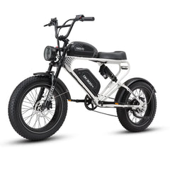 MEELOD DK300 PRO | 1200W Motor, Dual Battery - Green Vista Living