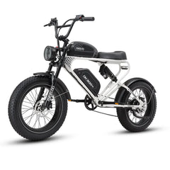 MEELOD DK300 PRO | 1200W Motor, Dual Battery - Green Vista Living