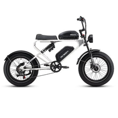 MEELOD DK300 PRO | 1200W Motor, Dual Battery - Green Vista Living