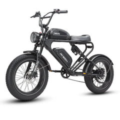 MEELOD DK300 PRO | 1200W Motor, Dual Battery - Green Vista Living