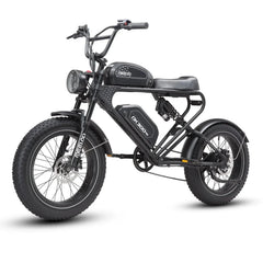 MEELOD DK300 PRO | 1200W Motor, Dual Battery - Green Vista Living