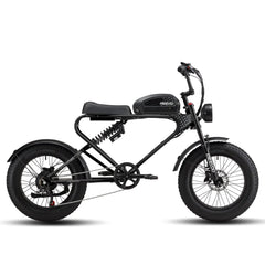 MEELOD DK300 PLUS | 1200W Motor, 50-100 Miles Range - Green Vista Living