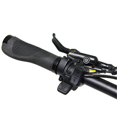 Bakcou Mule SD Electric Bike