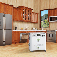 Nature’s Generator Powerhouse Platinum Plus WE System - Green Vista Living