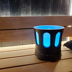 SaunaLife SaunaZone Bluetooth Speaker, Sauna Bucket, with Lights - Green Vista Living