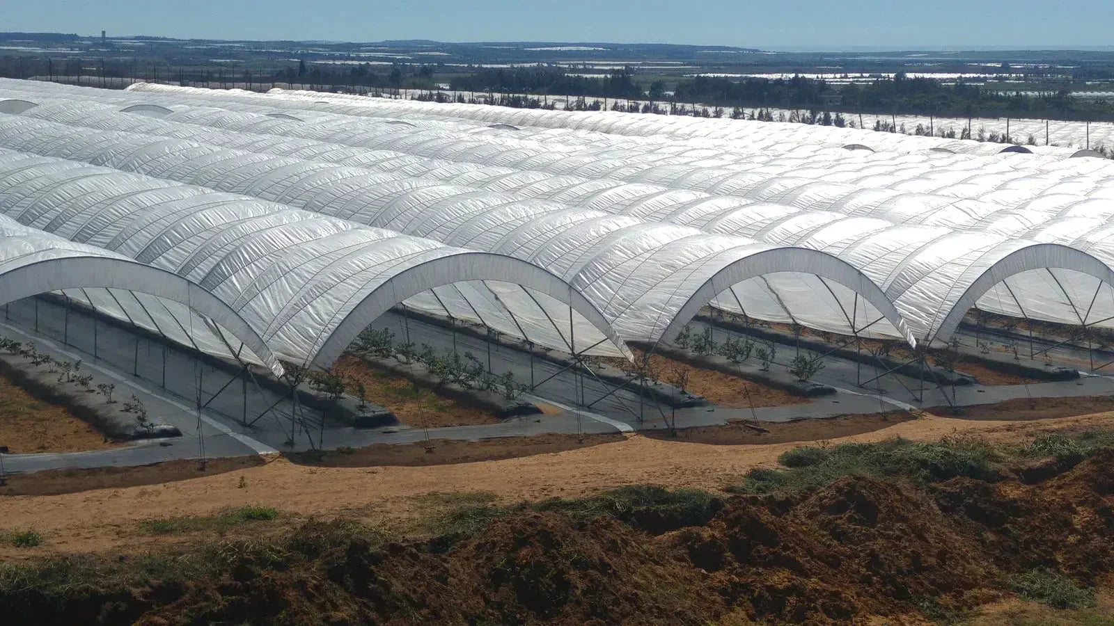 Bootstrap Farmer Greenhouse Woven Plastic 8 mil- Solarig 156 - Green Vista Living