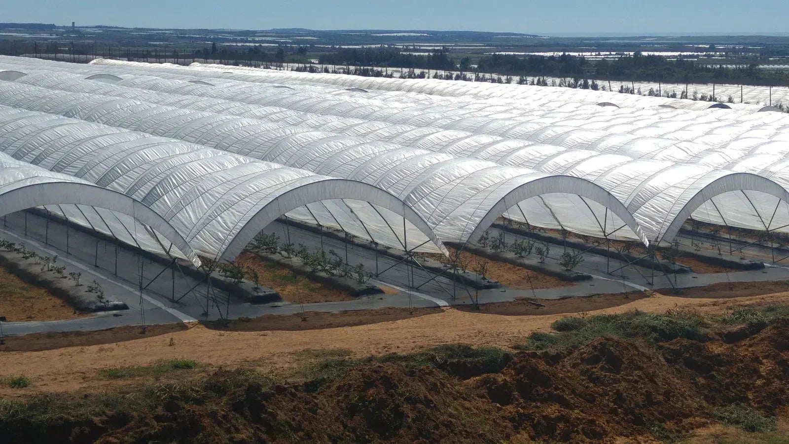 Bootstrap Farmer Greenhouse Woven Plastic 8 mil- Solarig 156 - Green Vista Living