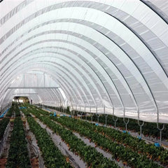Bootstrap Farmer Greenhouse Woven Plastic 8 mil- Solarig 156 - Green Vista Living